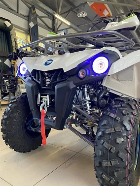 Квадроцикл PROMAX RENEGADE 300 WINCH