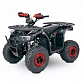 Квадроцикл  YACOTA SIRIUS 110			 			